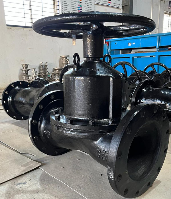 Diaphragm valve